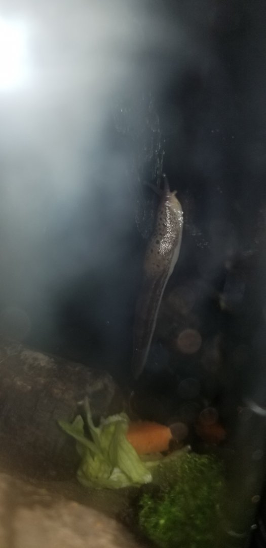 20190611_044754.jpg