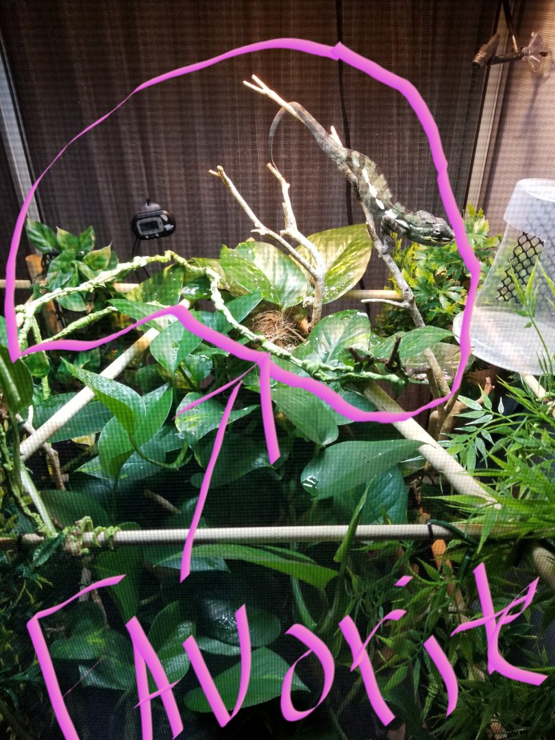 20190615_081014.jpg