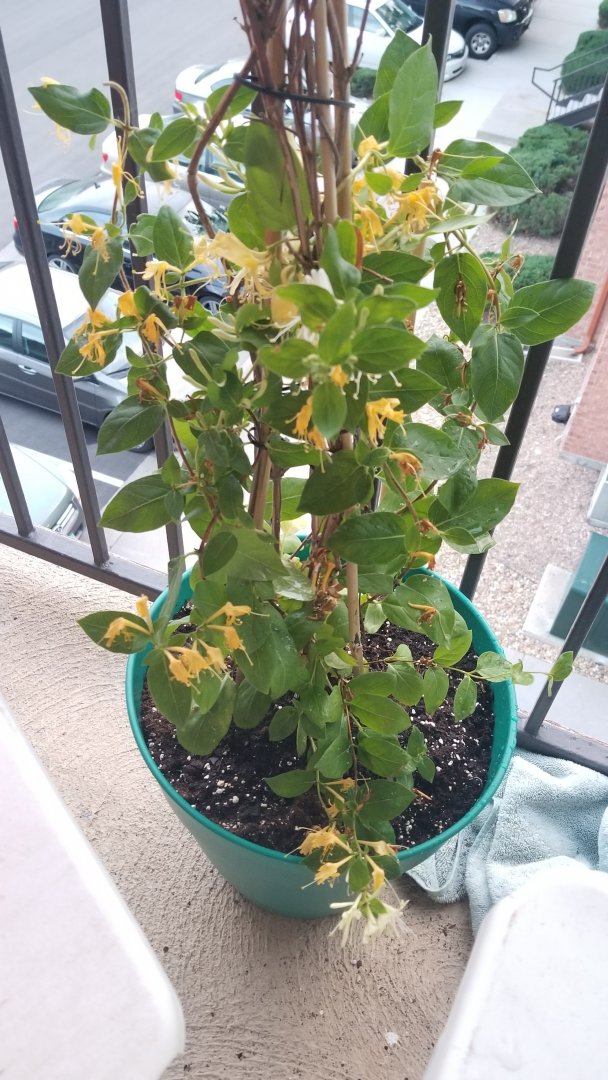 20190618_202225.jpg