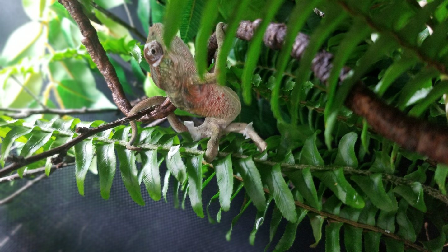 20190621_184934.jpg