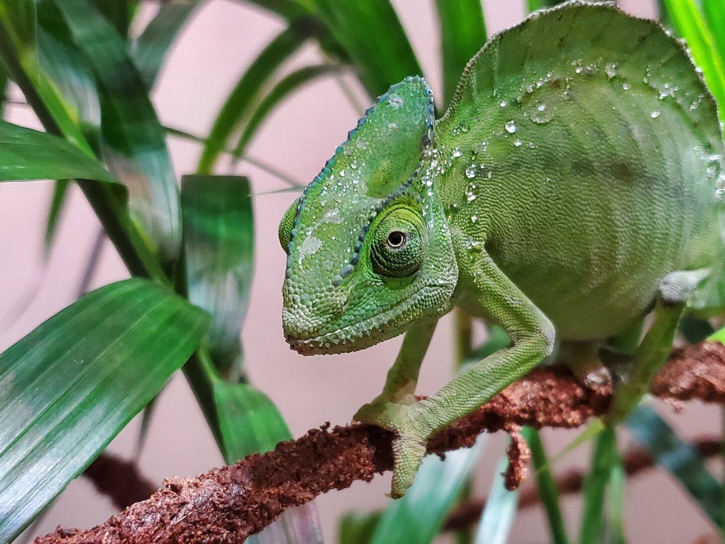 20190627_120530.jpg