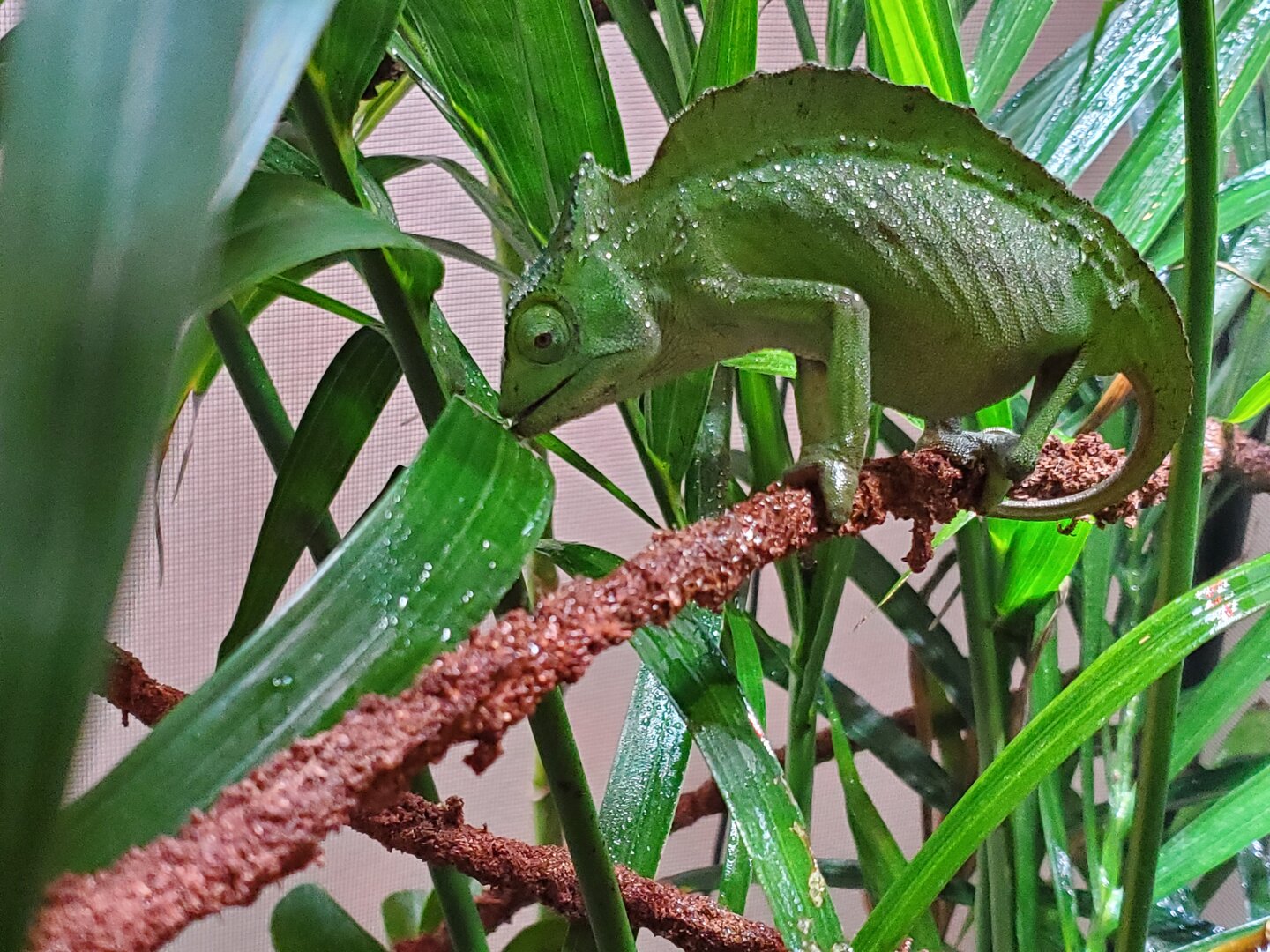 20190627_123106.jpg