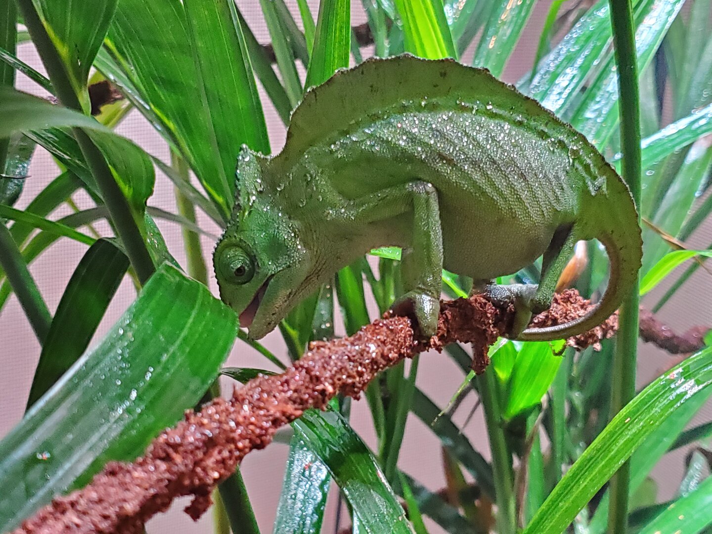20190627_123147.jpg