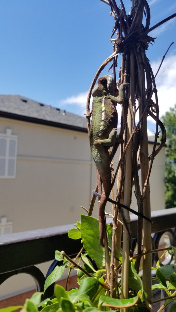 20190630_120748.jpg