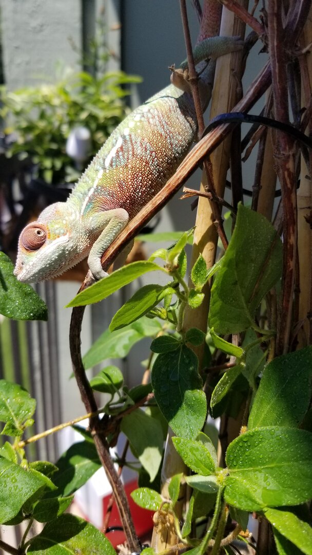 20190630_120904.jpg
