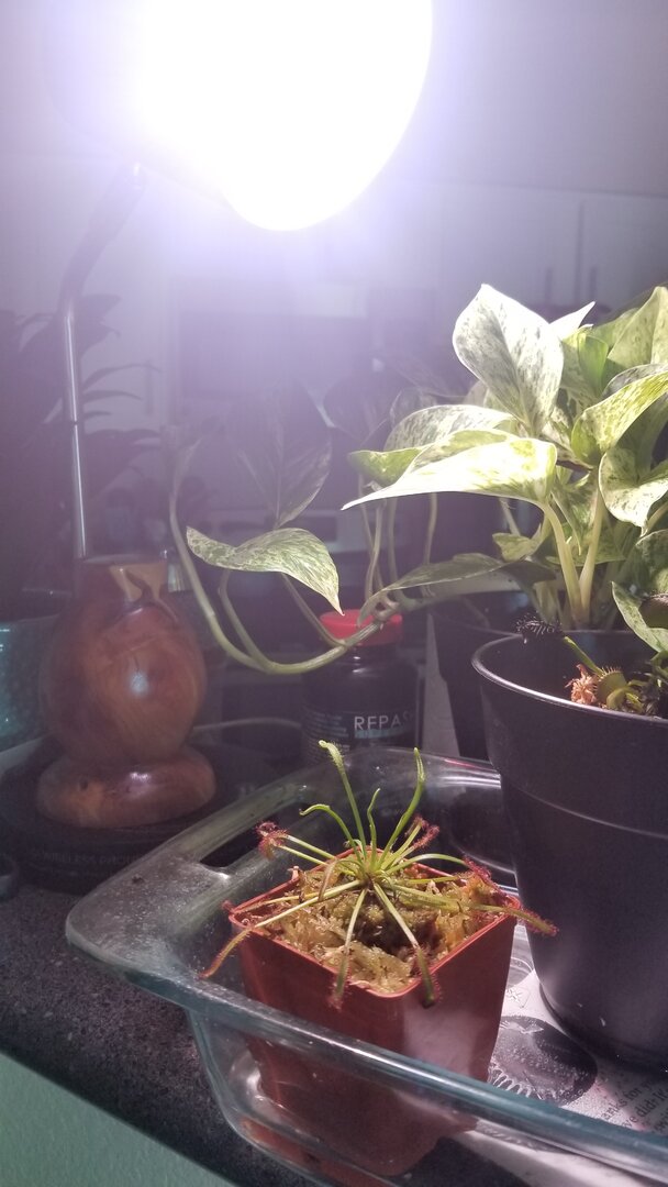20190723_093536.jpg