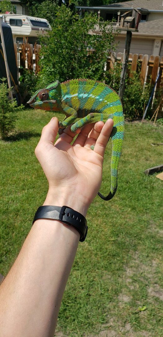 20190802_130349.jpg