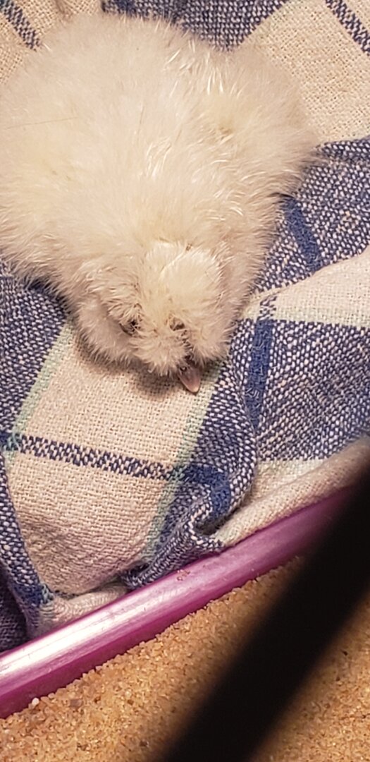 20190809_184711.jpg