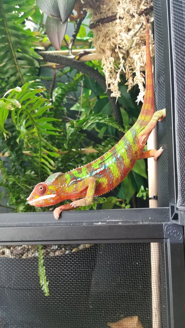 20190811_092405.jpg