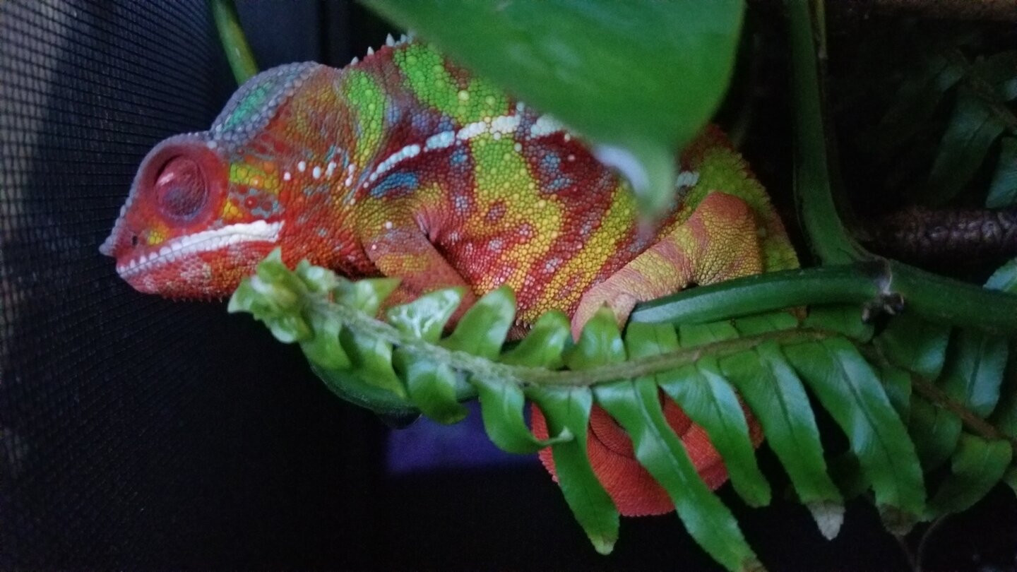 20190811_195441.jpg