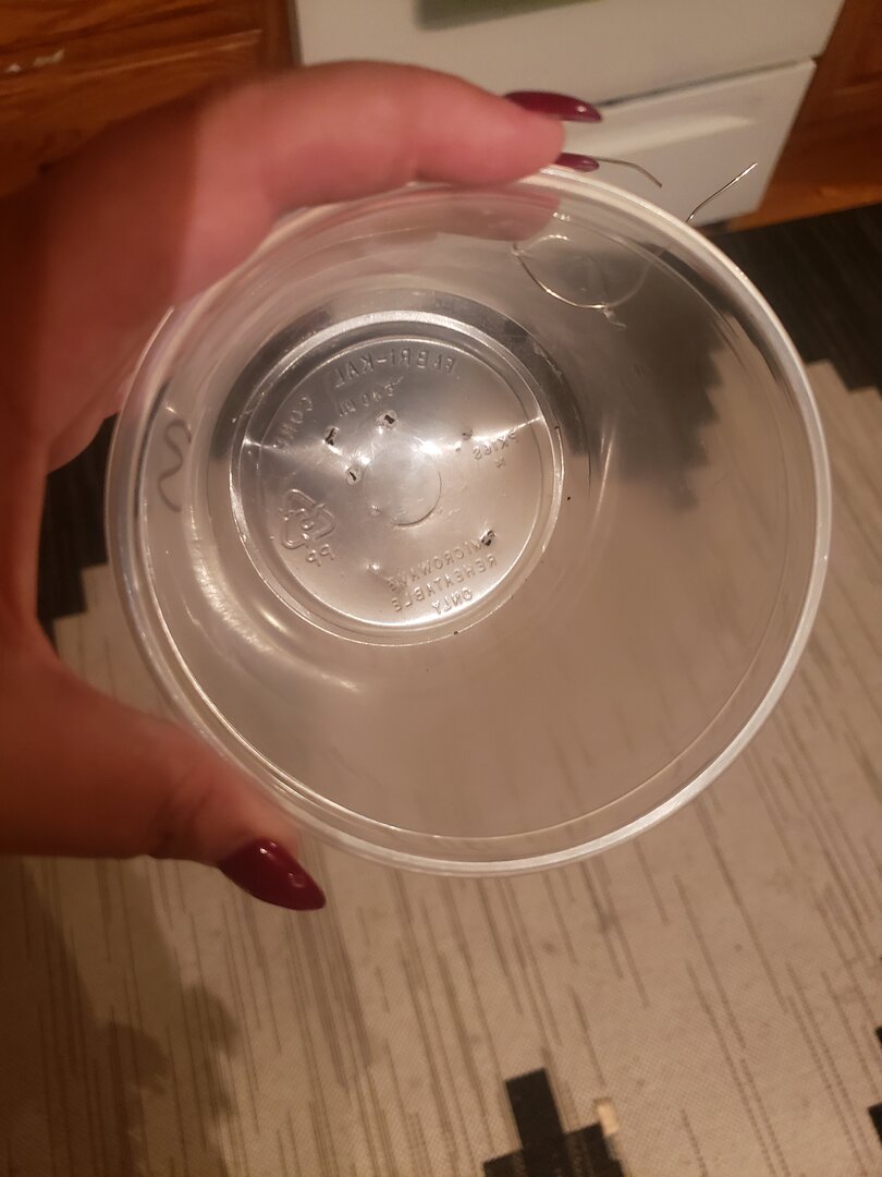 20190912_202925.jpg