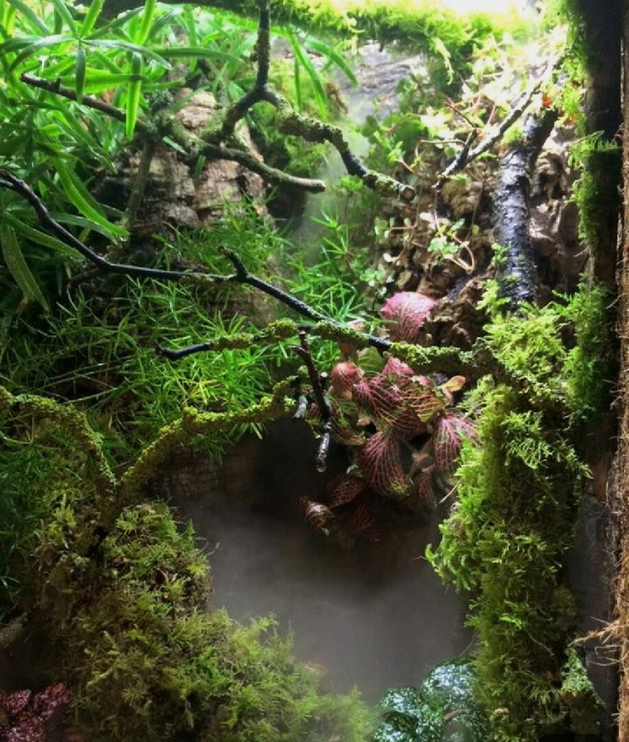 20190919_002328.jpg
