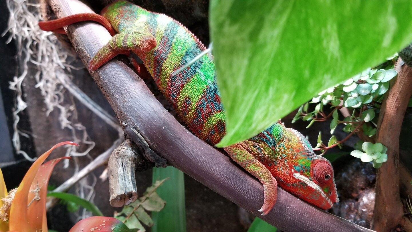 20190920_154725.jpg