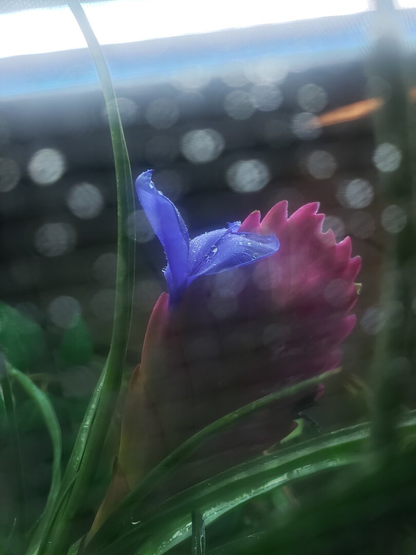 20190920_174941.jpg