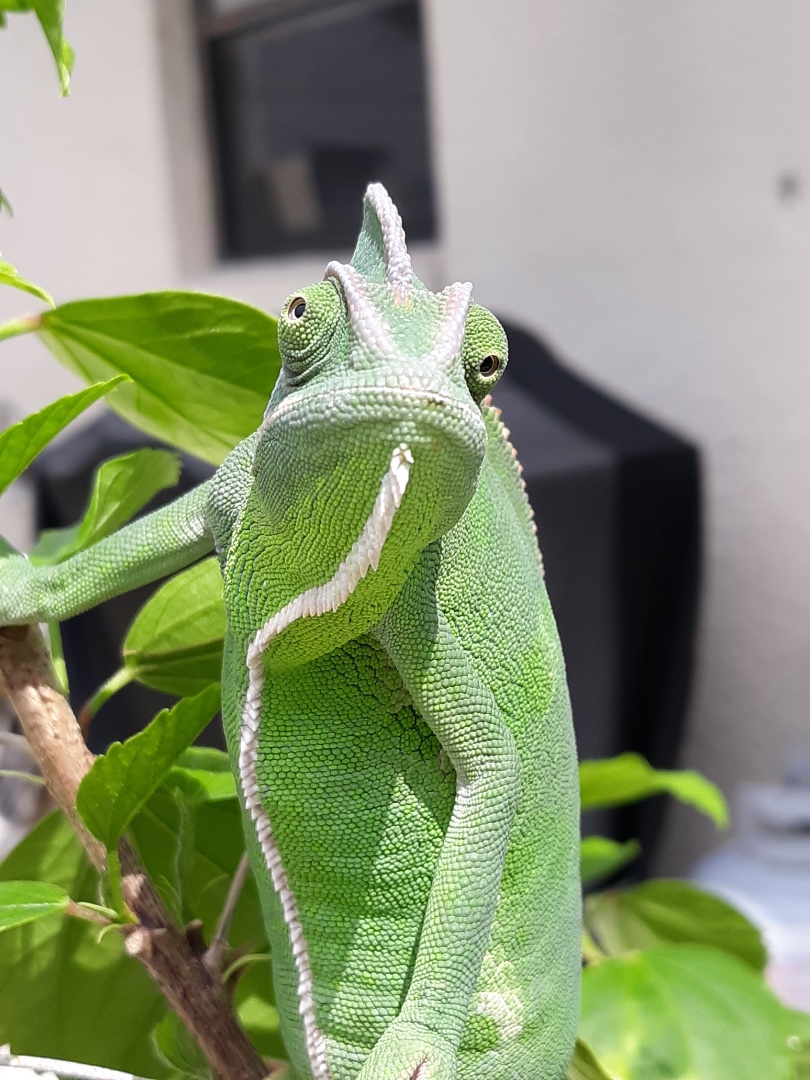 20190923_140344.jpeg