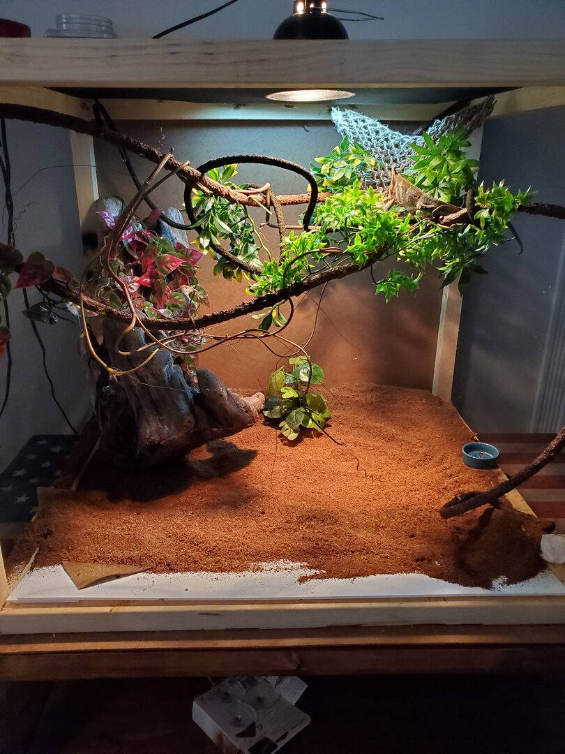Custom cage ideas | Chameleon Forums