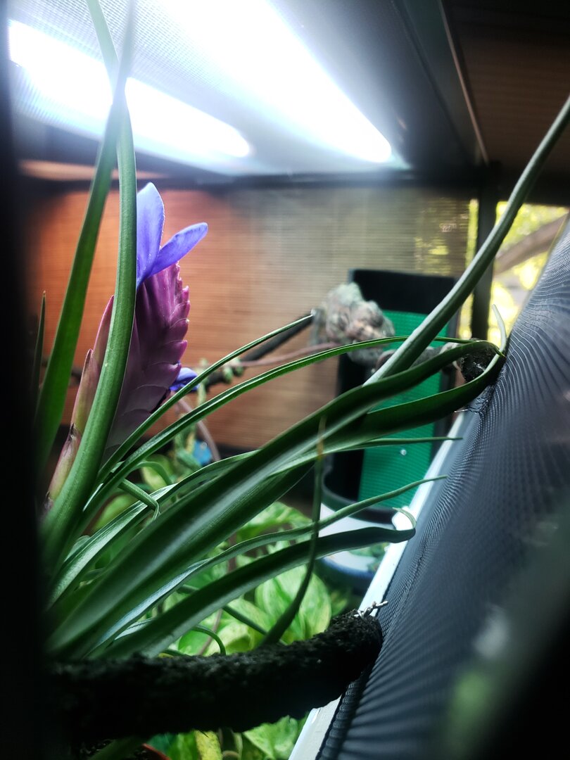 20190925_174401.jpg