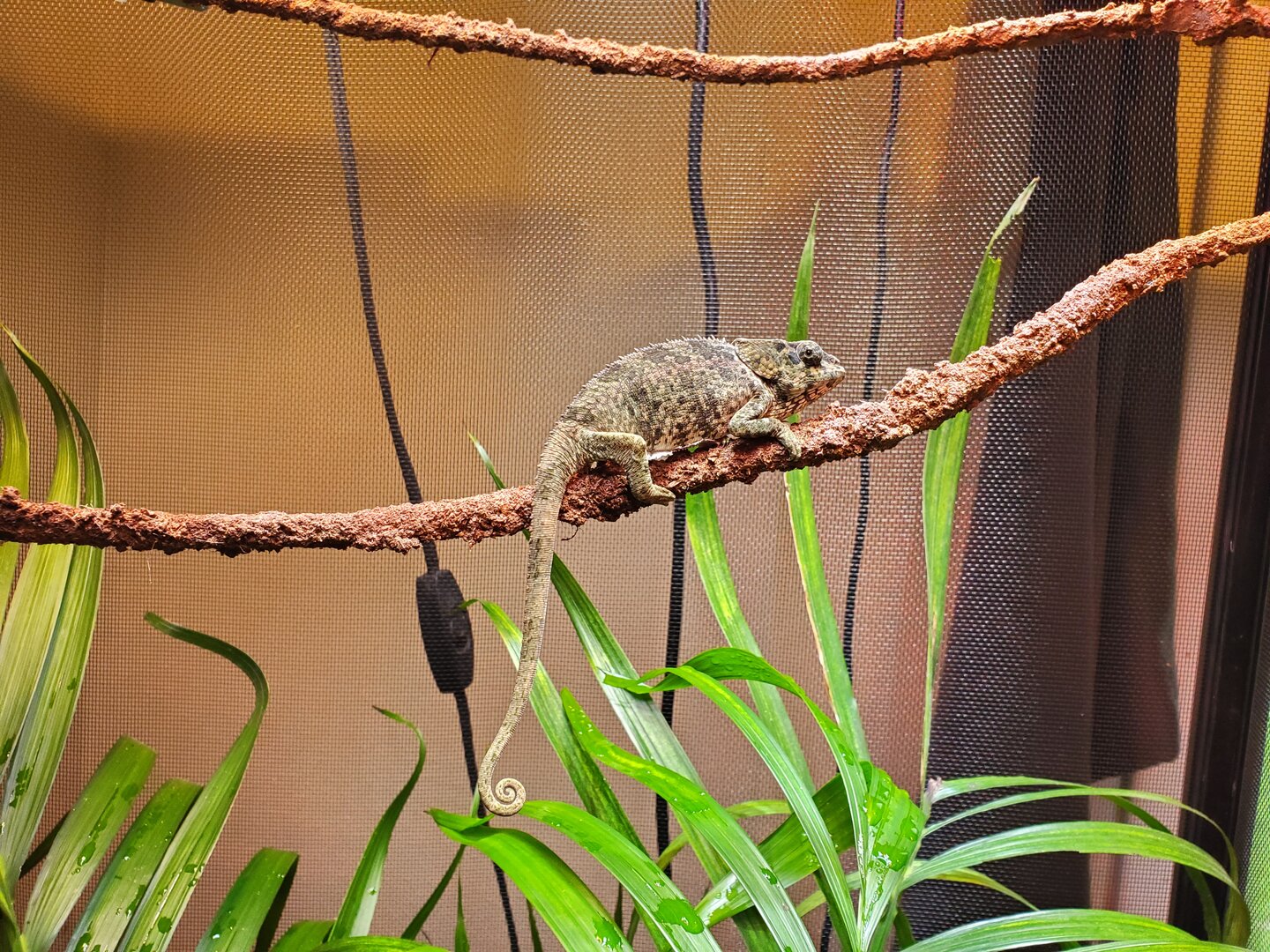 20191001_092447.jpg