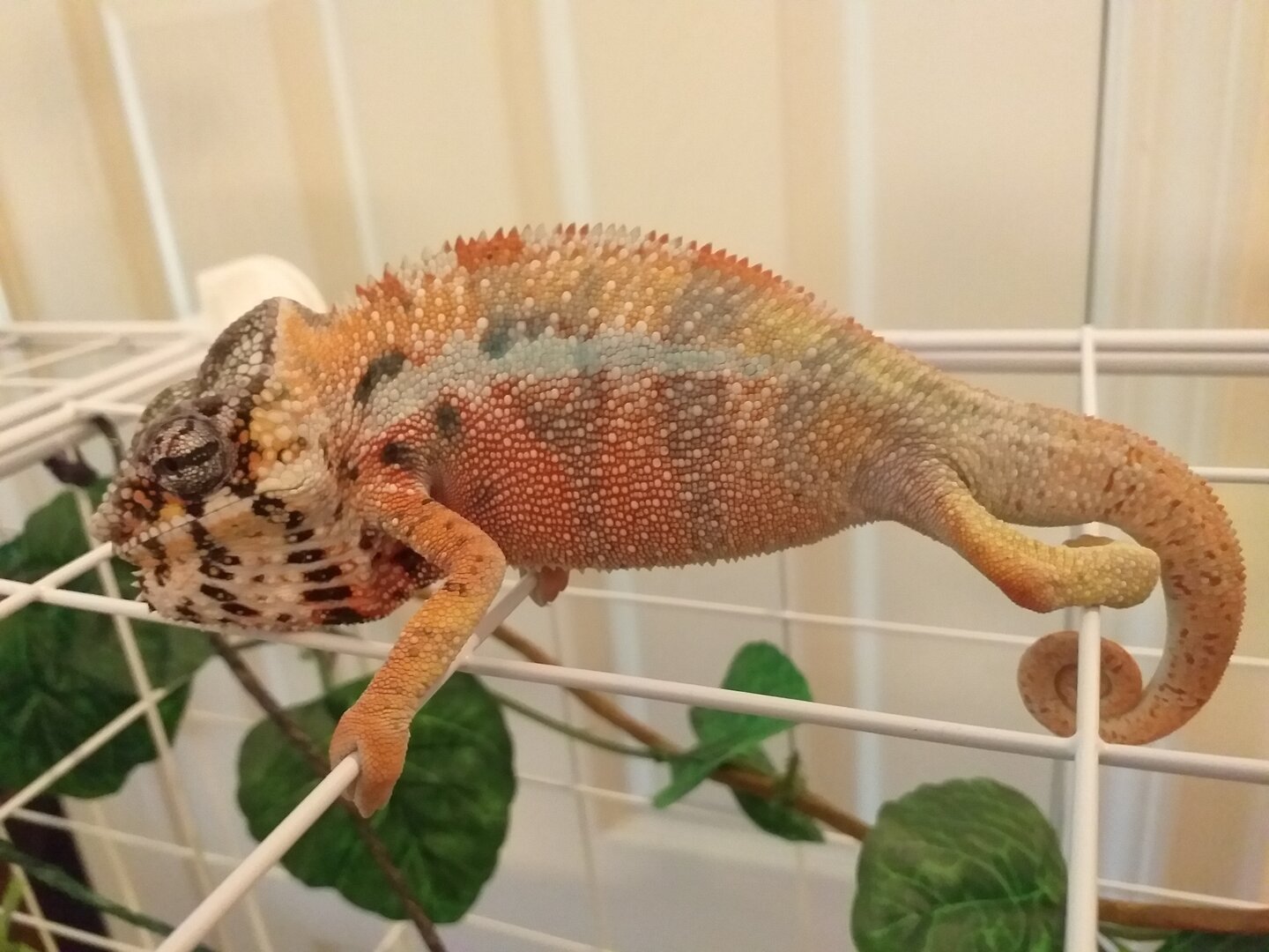 20191008_113457.jpg