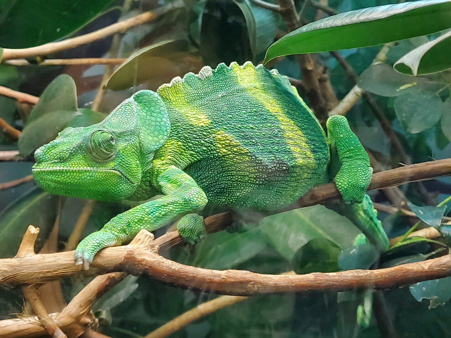 20191020_134146.jpg