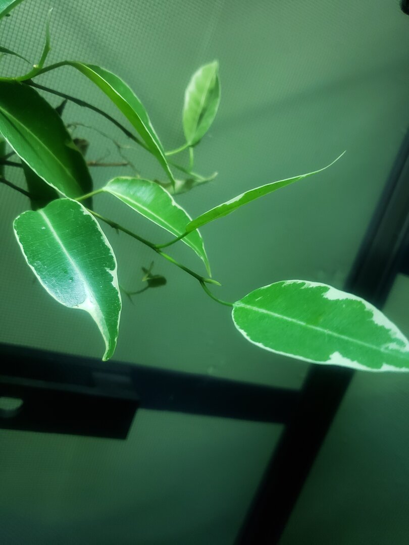 20191024_180243.jpg