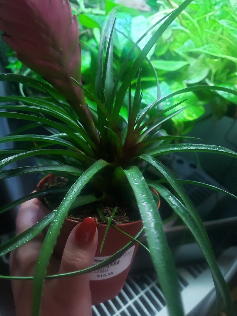 20191101_151759.jpg