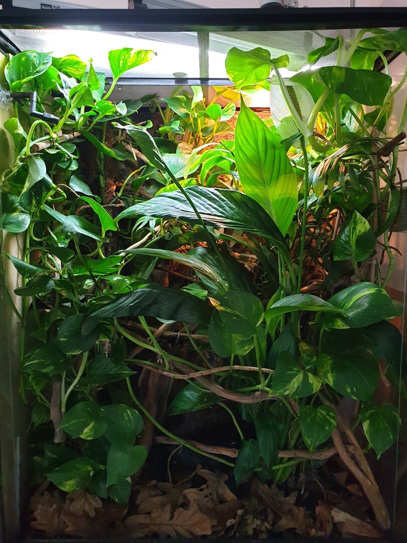 20191106_095115.jpg