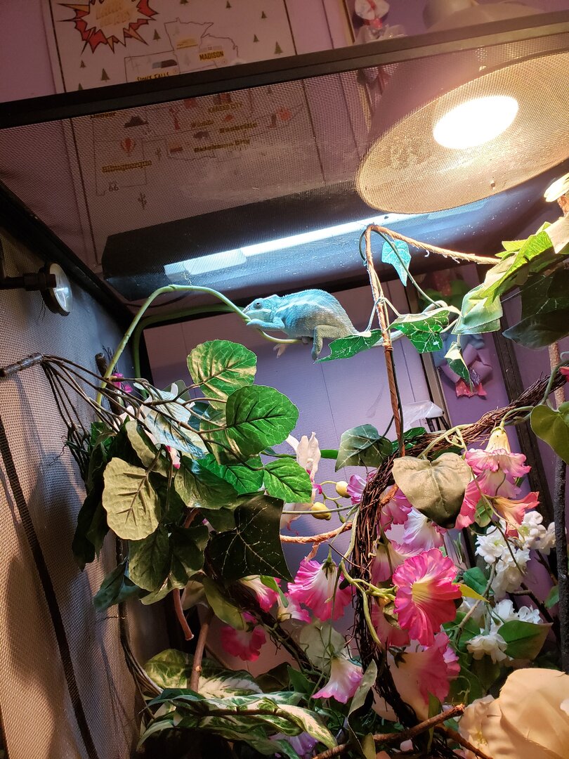 20191115_132940.jpg