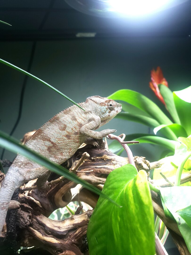 20191119_100301.jpg