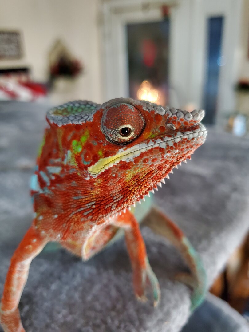 20191217_175016.jpg