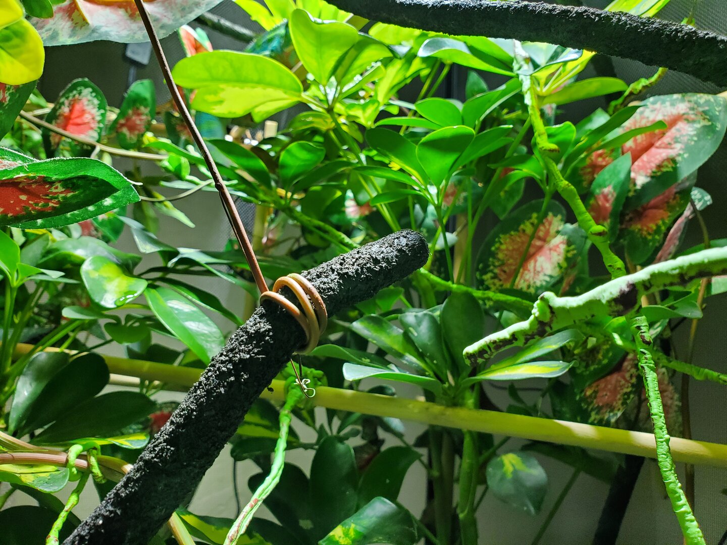 20191220_093701.jpg