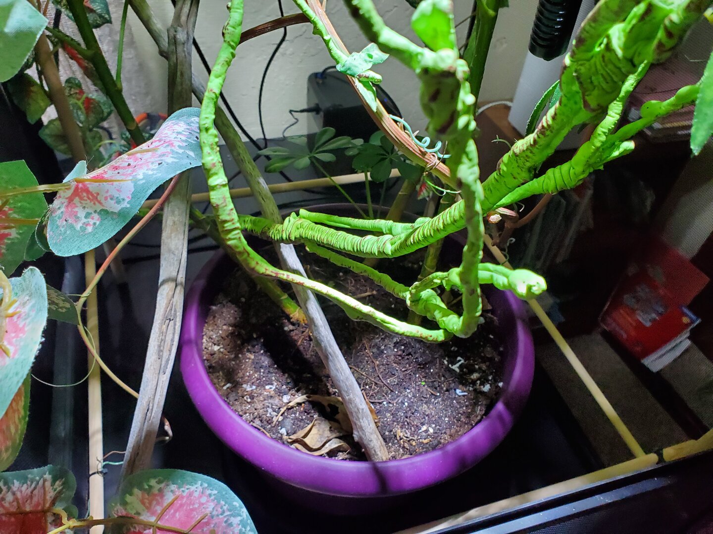 20191220_093709.jpg