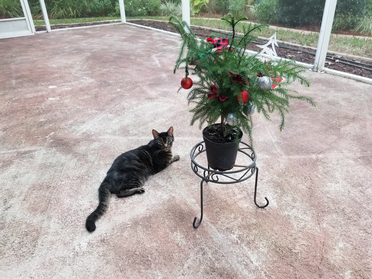 20191225_135411.jpg