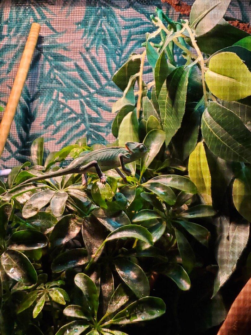 20191229_141639.jpg