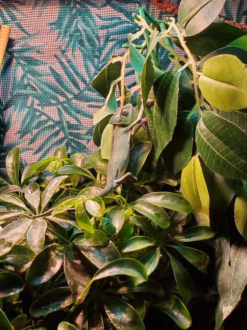 20191229_141702.jpg