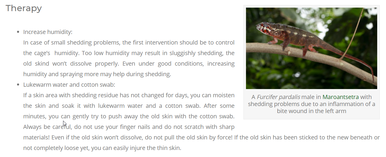 2020-01-17 13_50_32-Shedding problems – Madcham.de.png