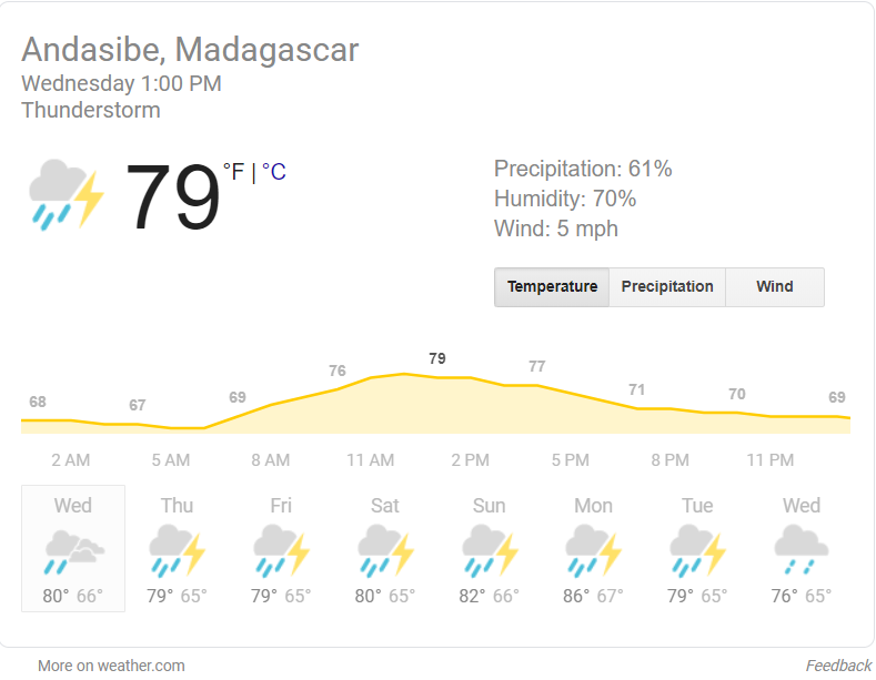 2020-02-18 15_02_43-andasibe madgascar weather - Google Search.png