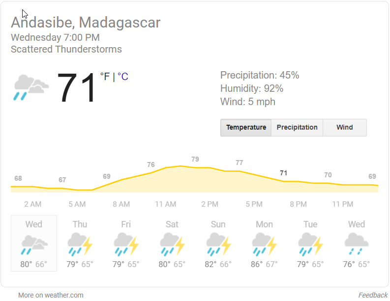 2020-02-18 15_03_01-andasibe madgascar weather - Google Search.png