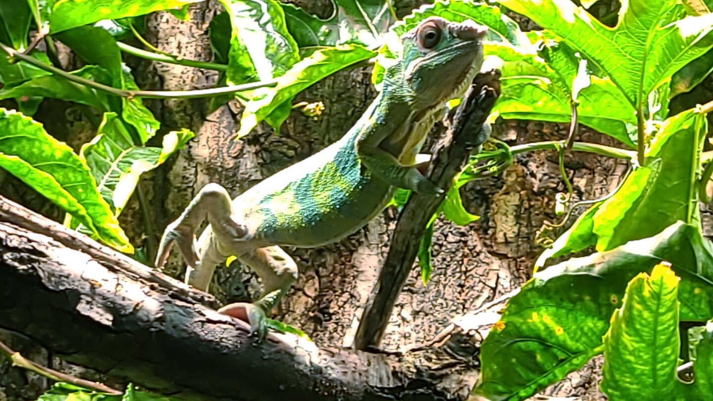 20200526_164156.jpg