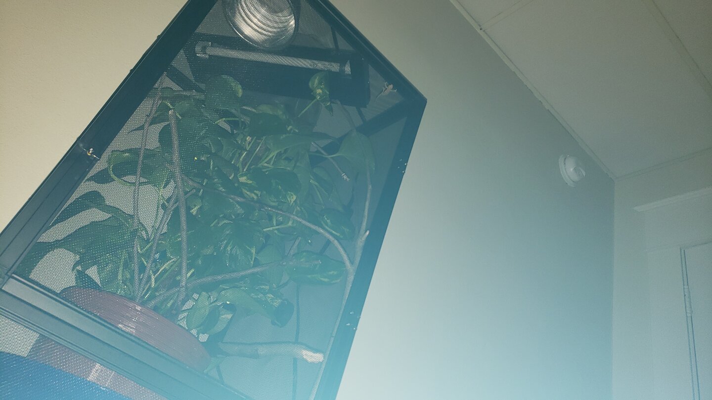 20200731_222247.jpg