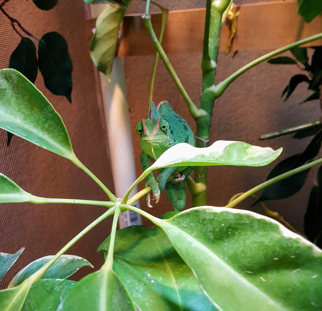 20200902_170932.jpg