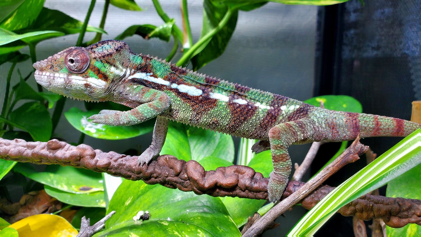 20200924_184309.jpg