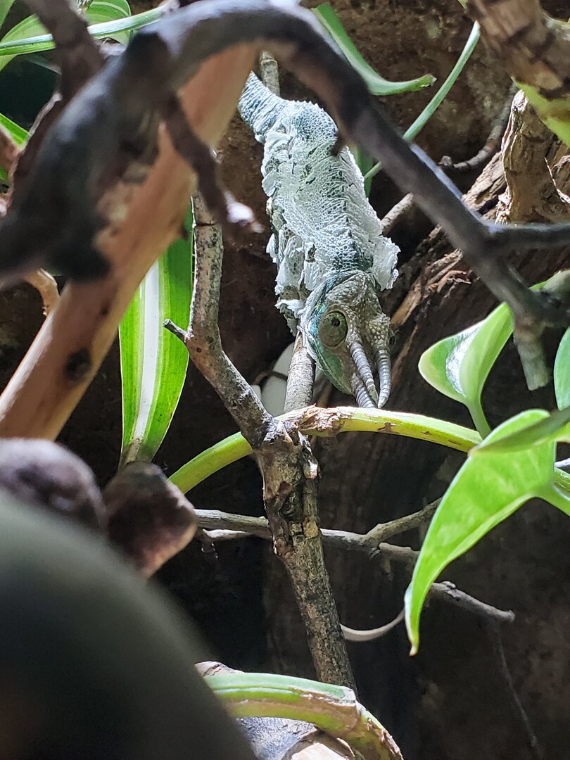 20200928_205014.jpg
