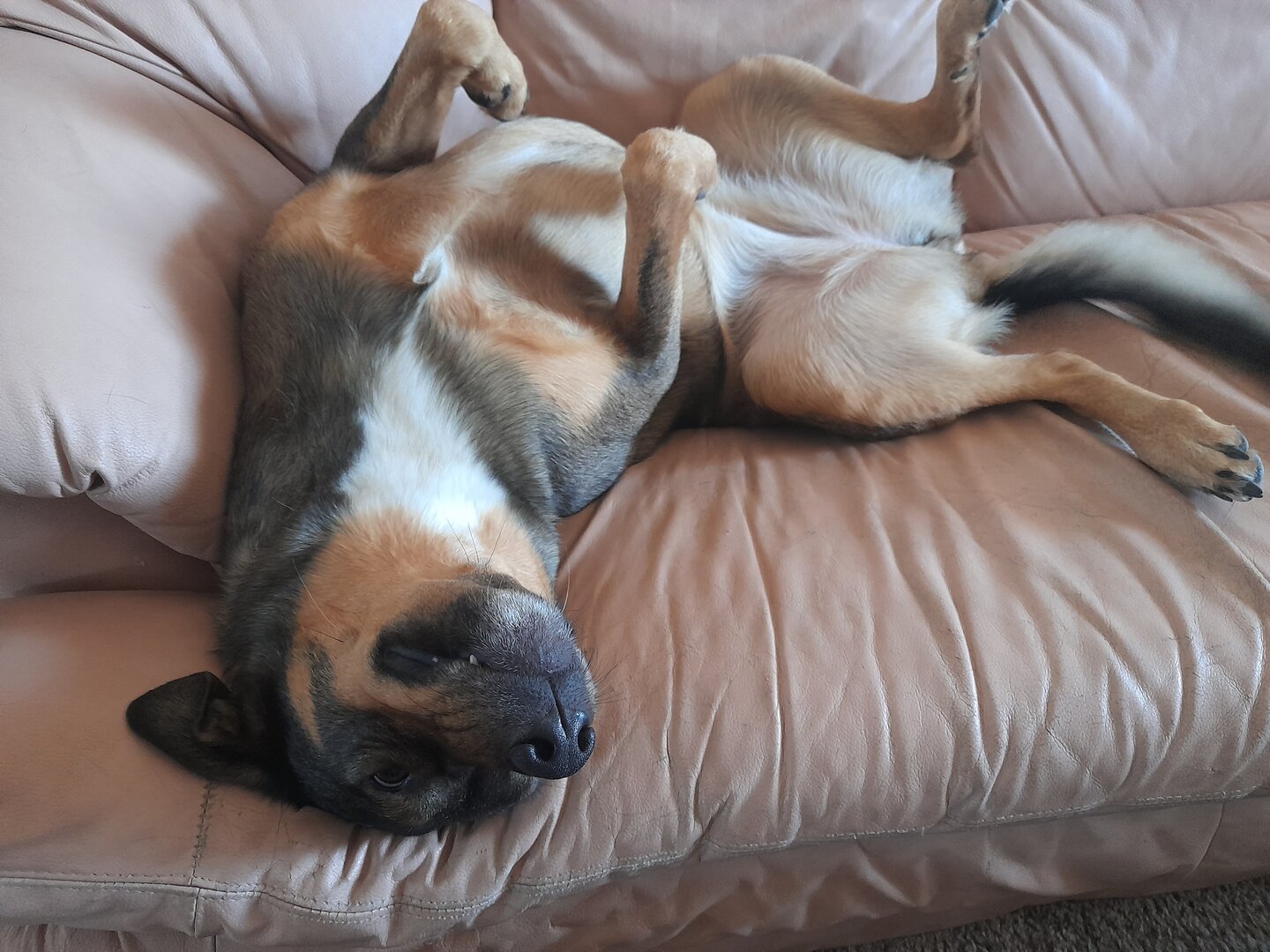 20201001_112943.jpg
