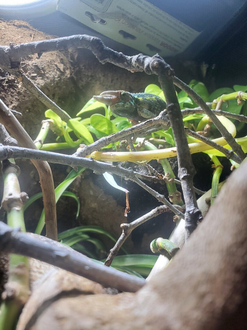 20201003_160836.jpg