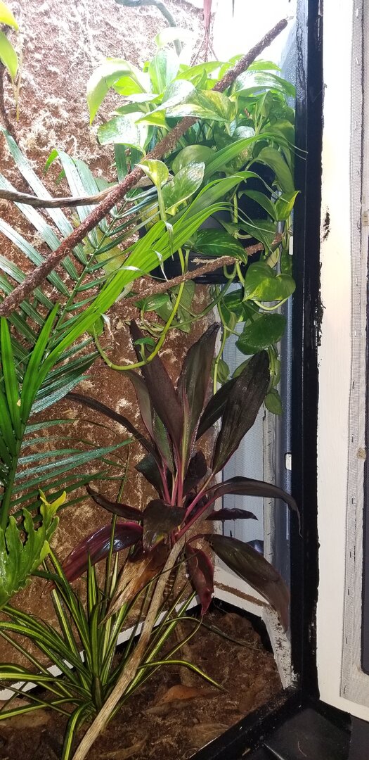 20201005_075923.jpg