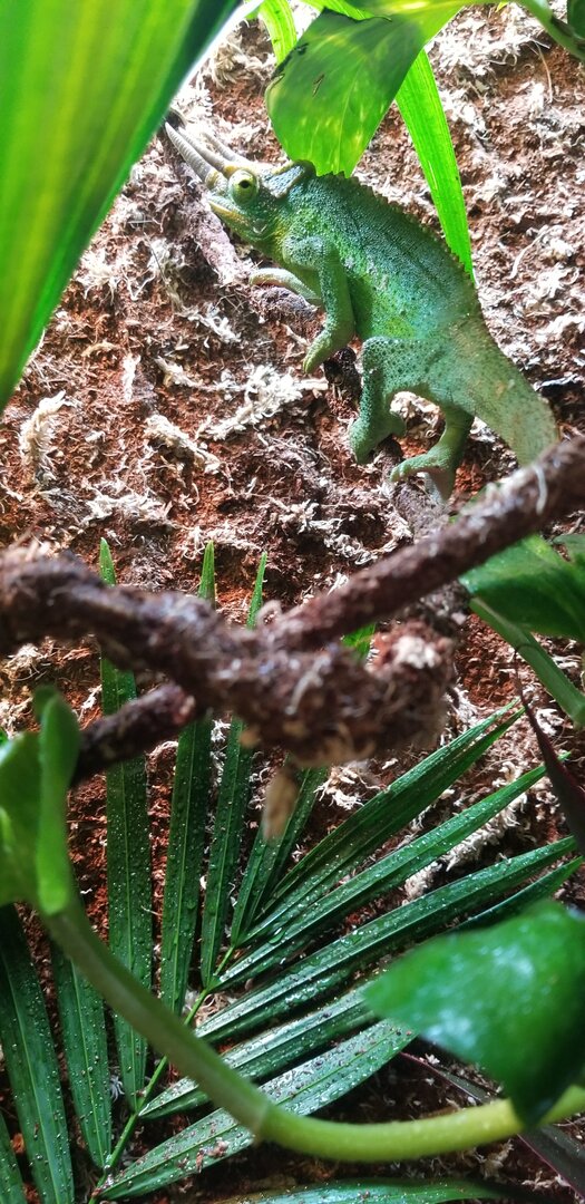 20201005_075958.jpg