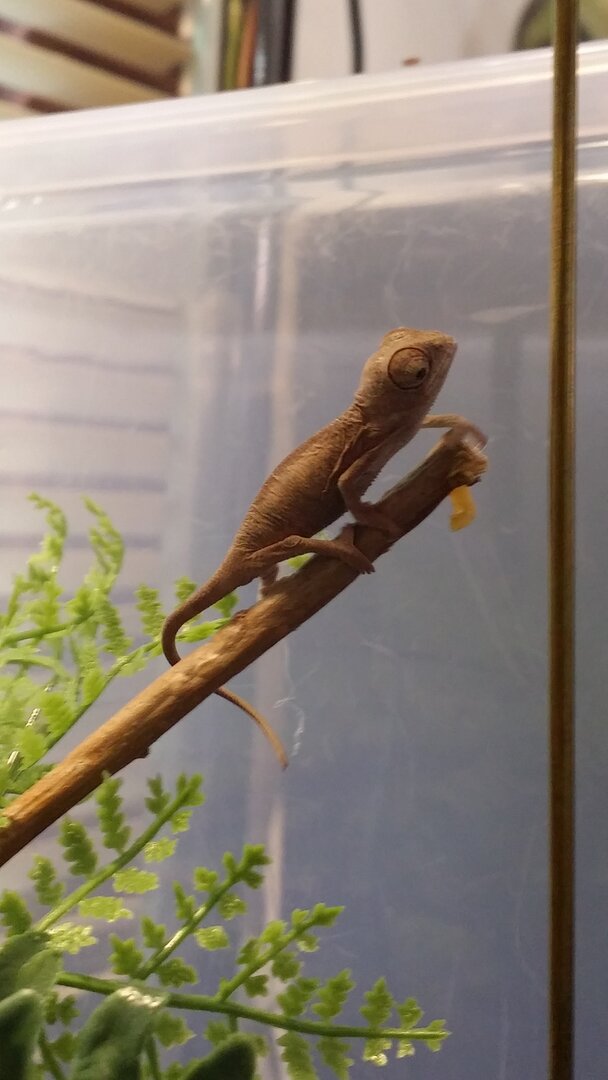 20201005_110436.jpg