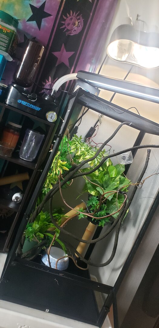 20201019_140202.jpg