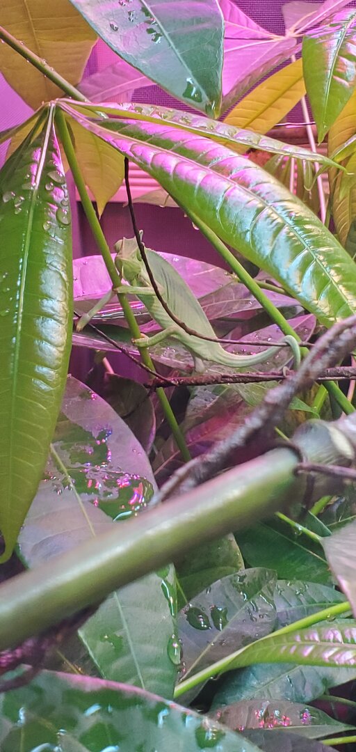 20201102_121551.jpg